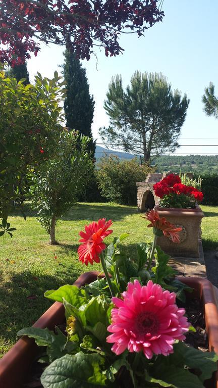 Agriturismo Il Catrino Ponteginori Esterno foto