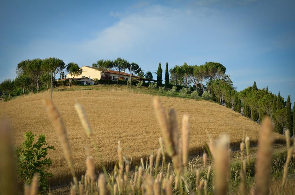 Agriturismo Il Catrino Ponteginori Esterno foto