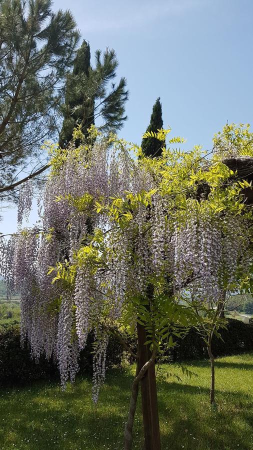 Agriturismo Il Catrino Ponteginori Esterno foto