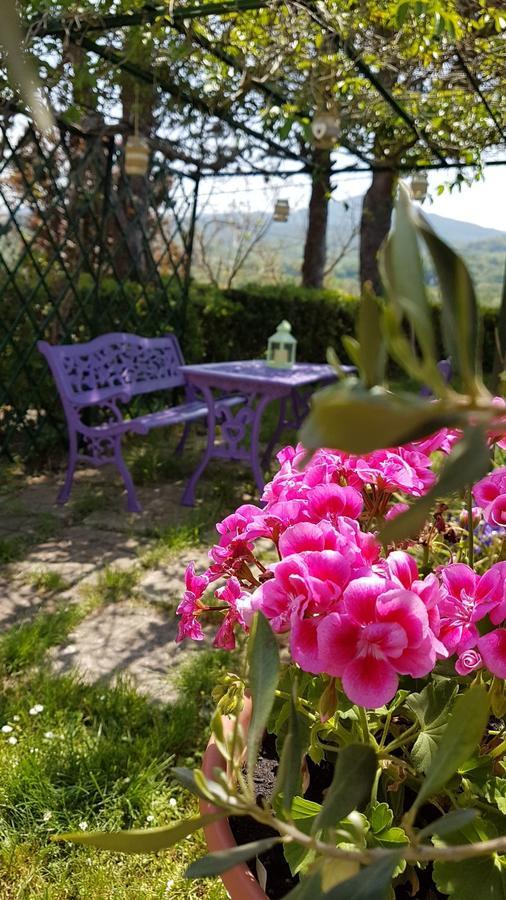 Agriturismo Il Catrino Ponteginori Esterno foto