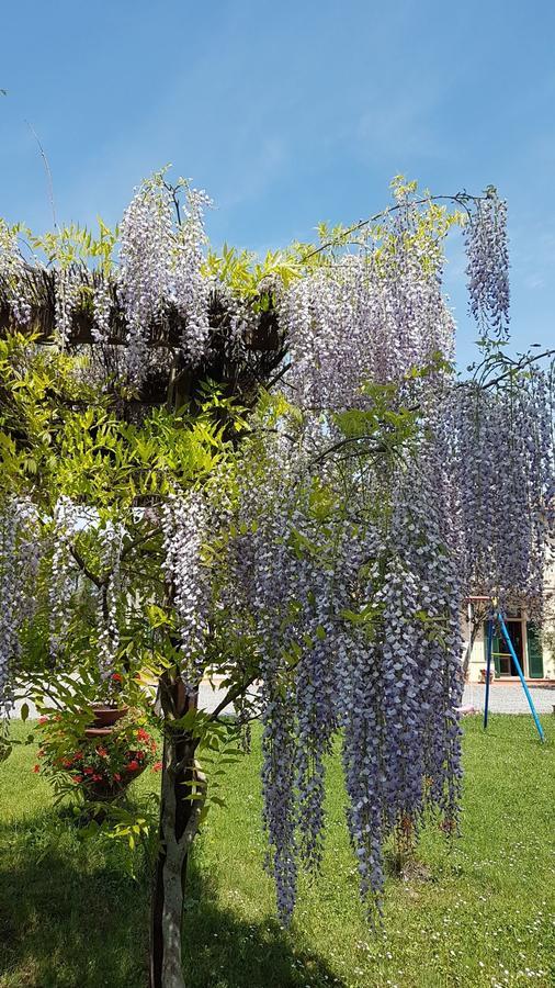 Agriturismo Il Catrino Ponteginori Esterno foto