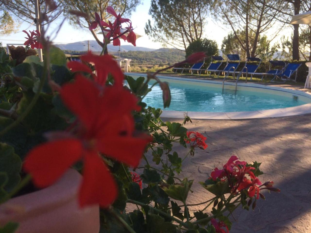 Agriturismo Il Catrino Ponteginori Esterno foto